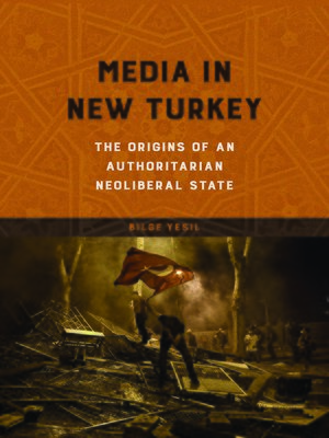 cover image of Media in New Turkey